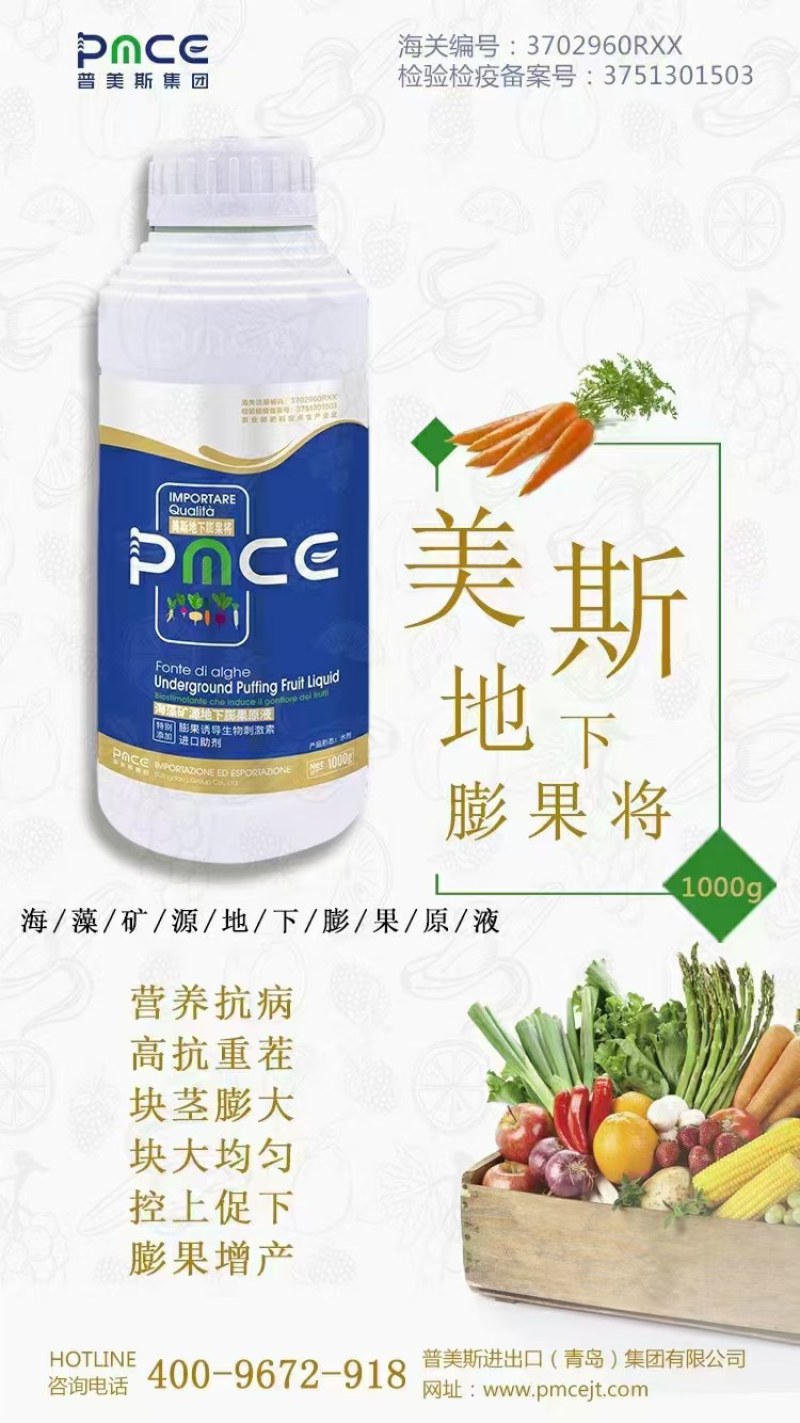 美斯地下膨果将加速果肉细胞分裂、促使细胞增大
