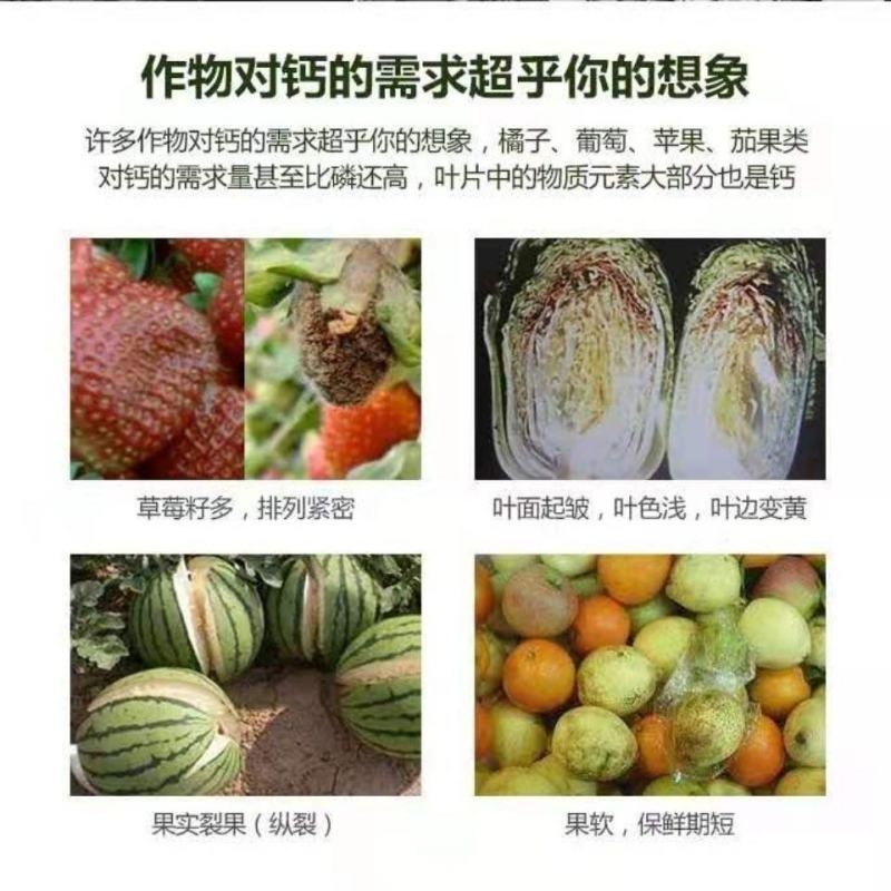 糖醇钙螯合态防裂果缩果畸形果增强果实品质糖度硬度着色