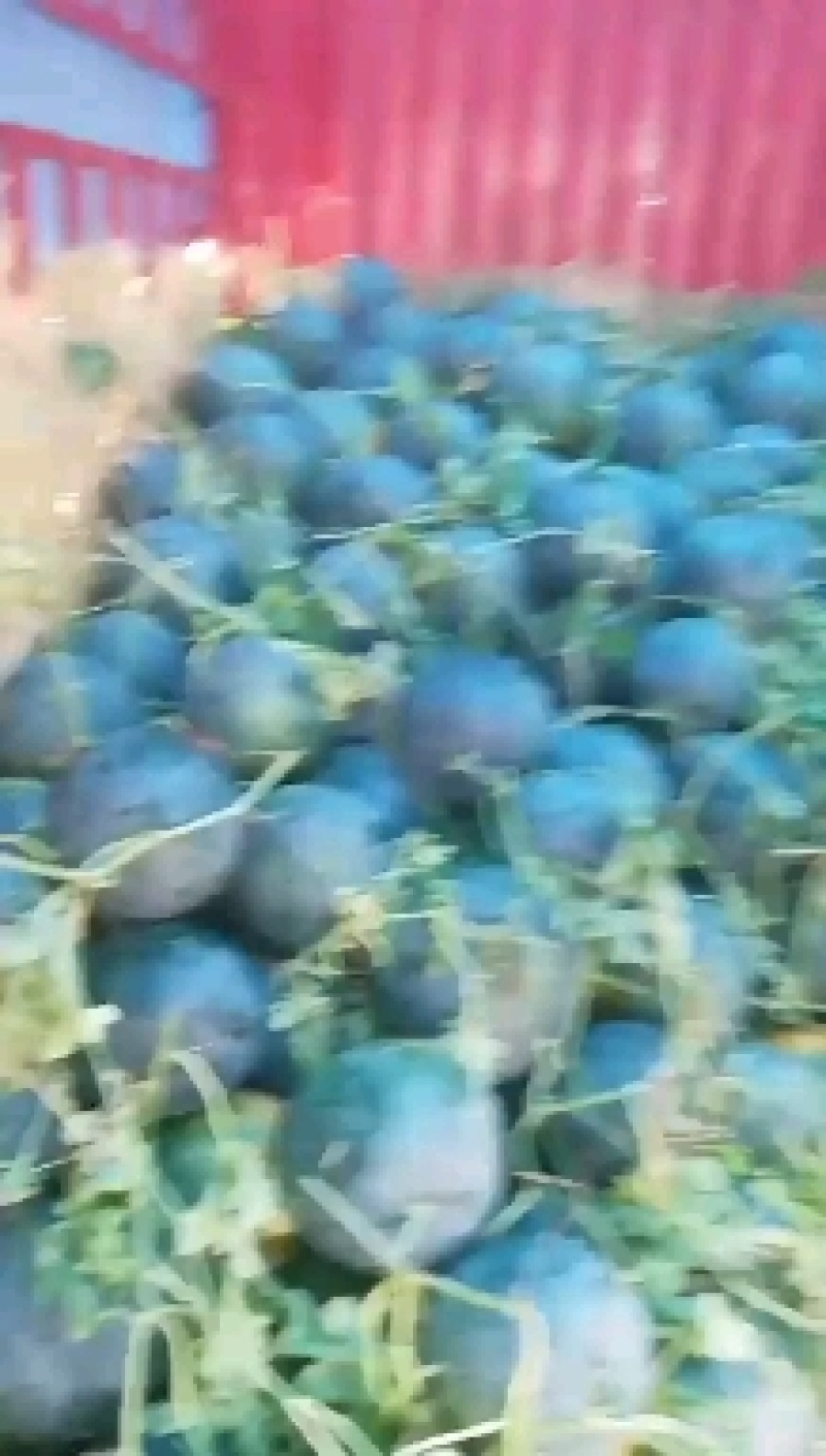 洞庭一号，比小三更有味道