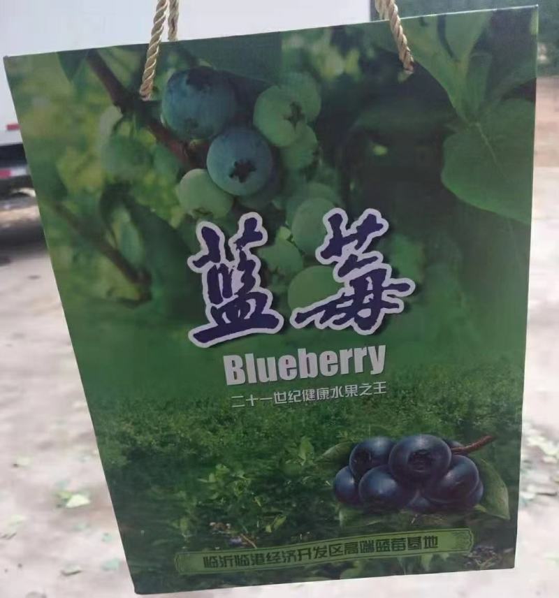 精品蓝莓