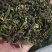 绿茶