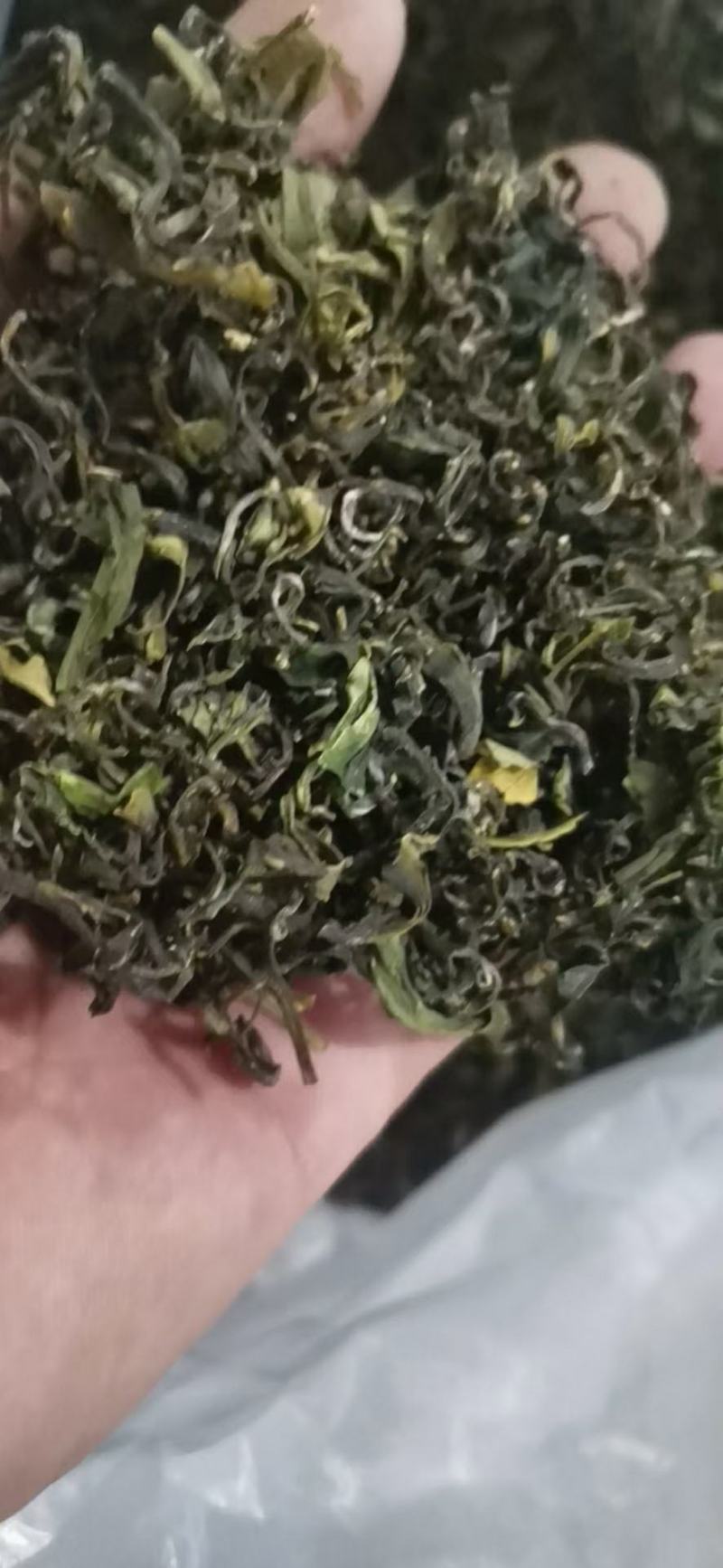 绿茶