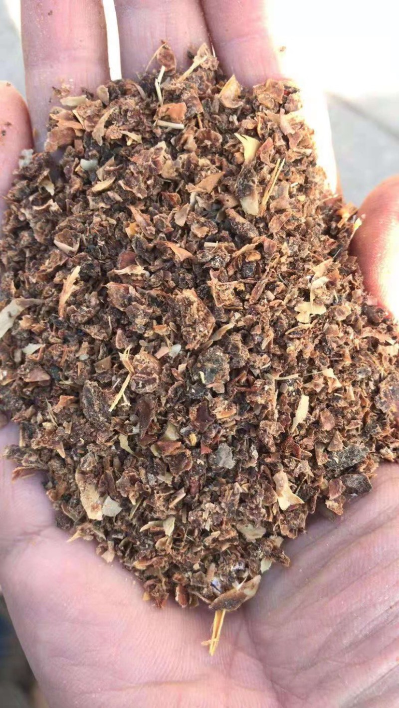 烘干苹果渣烘干苹果渣，效果好