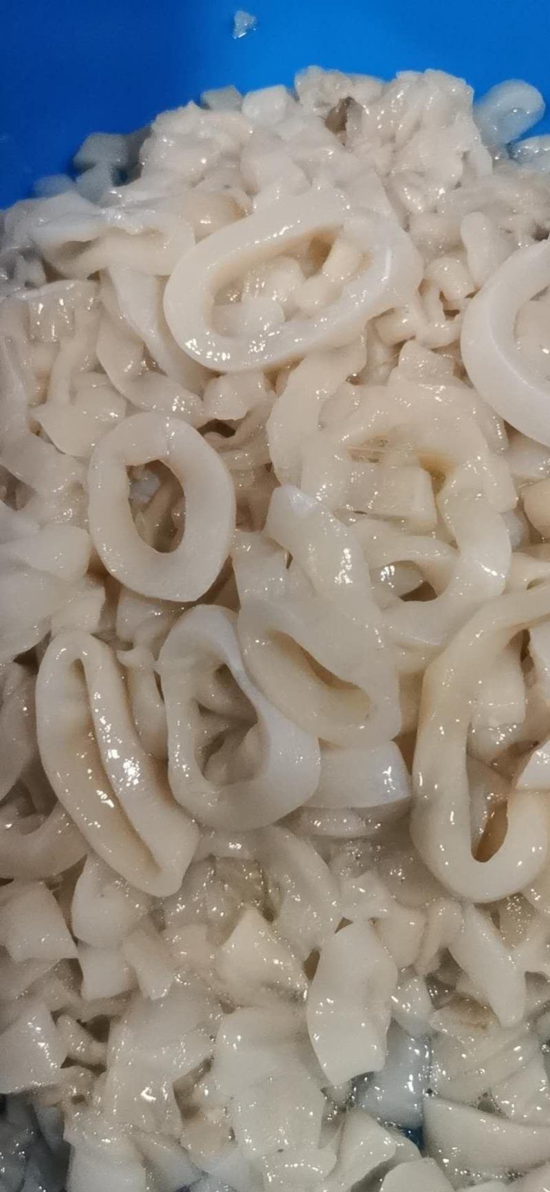 鱿鱼边角料打浆做丸子专用