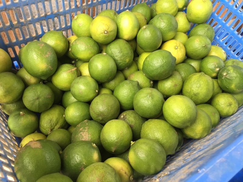尤力克次果