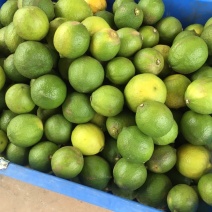 尤力克次果
