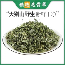 透骨草珍珠透骨草凤仙透骨草批发各种中药材量大从优