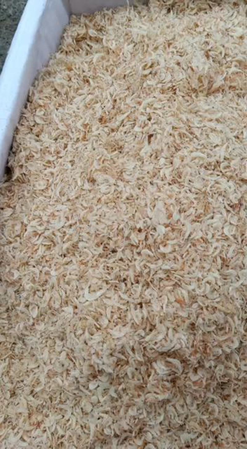 山东虾皮，价格便宜大量现货货源充足新货上市