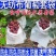 无纺布葡萄套袋桃子梨子芒果樱桃苹果柑橘等水果套袋批发