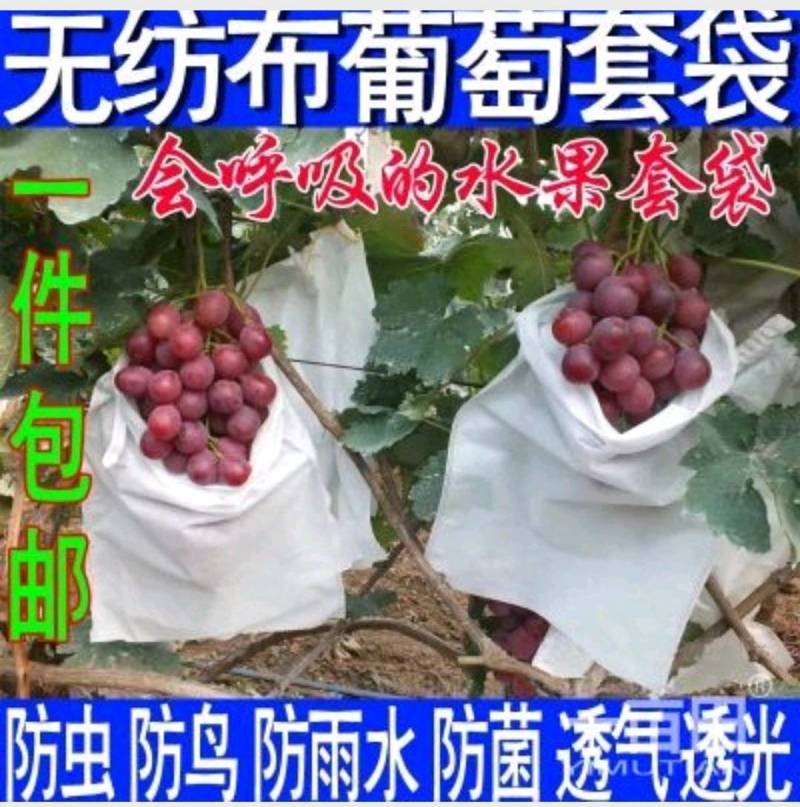 无纺布葡萄套袋桃子梨子芒果樱桃苹果柑橘等水果套袋批发