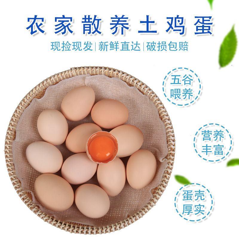 【多规格包邮】【一件代发】正宗农家散养土鸡蛋营养健康鸡蛋