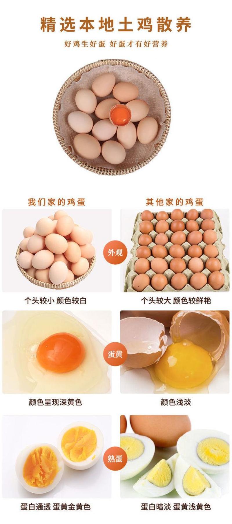 【多规格包邮】【一件代发】正宗农家散养土鸡蛋营养健康鸡蛋