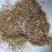 香薷草批发打碎等级品种齐全看规格下单