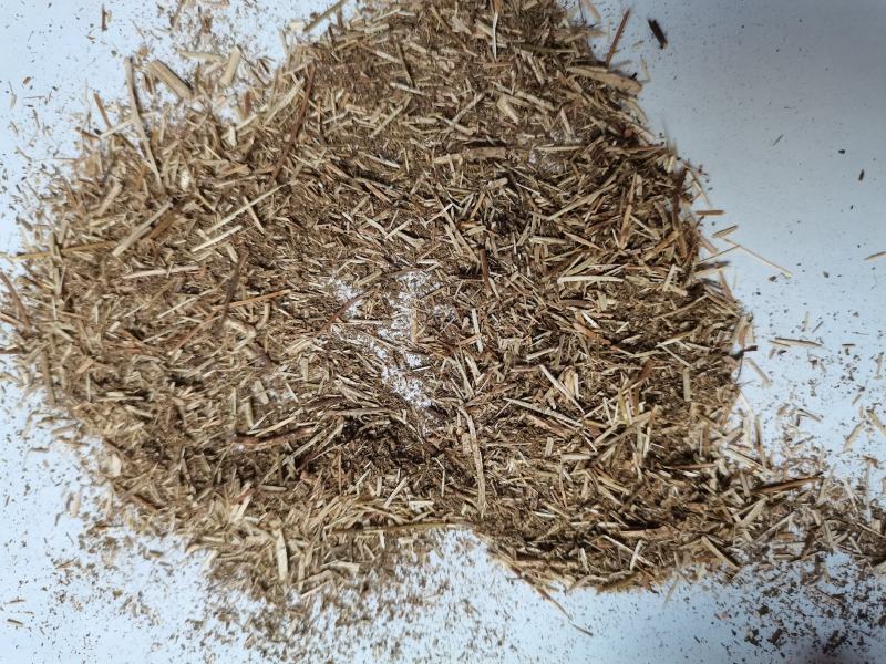 香薷草批发打碎等级品种齐全看规格下单