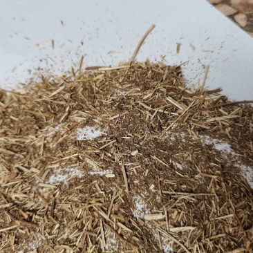 香薷草批发打碎等级品种齐全看规格下单
