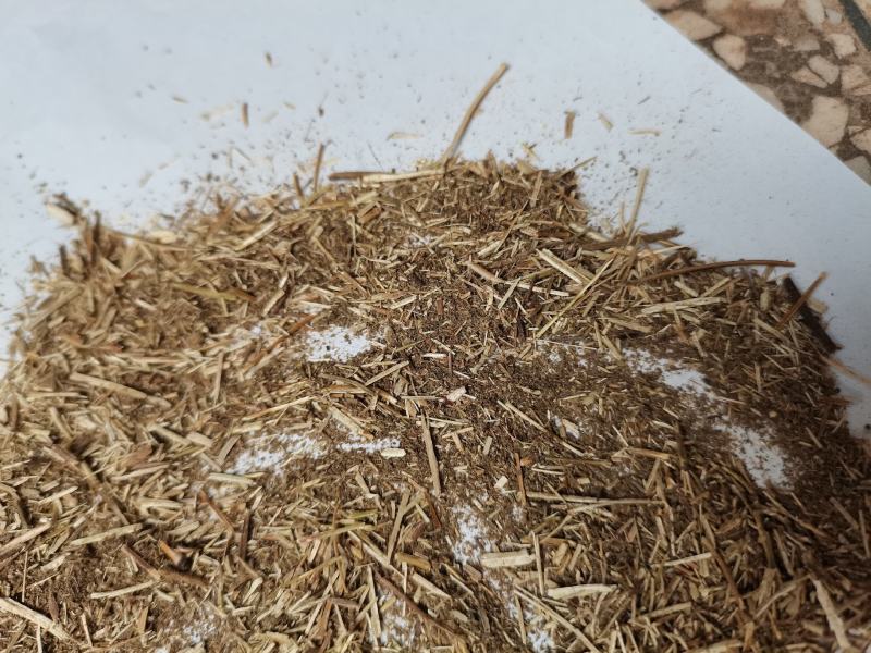 香薷草批发打碎等级品种齐全看规格下单