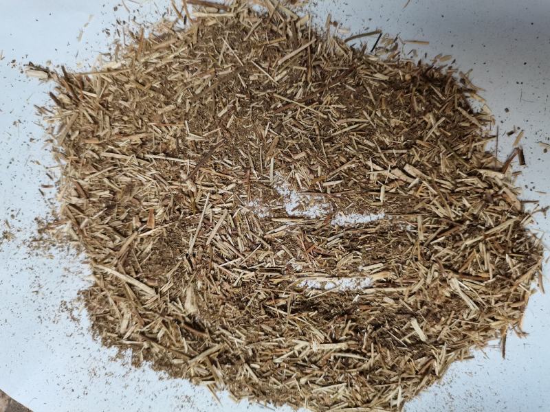 香薷草批发打碎等级品种齐全看规格下单