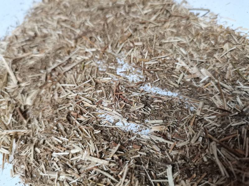 香薷草批发打碎等级品种齐全看规格下单