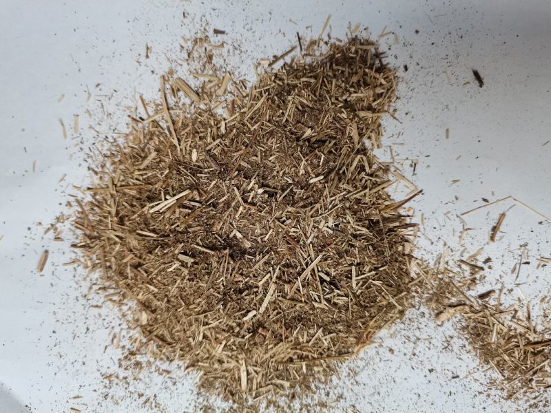 香薷草批发打碎等级品种齐全看规格下单