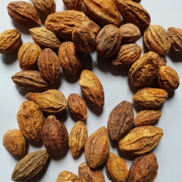 诃子柯子金珂子看规格下单批发零售品种齐全金柯