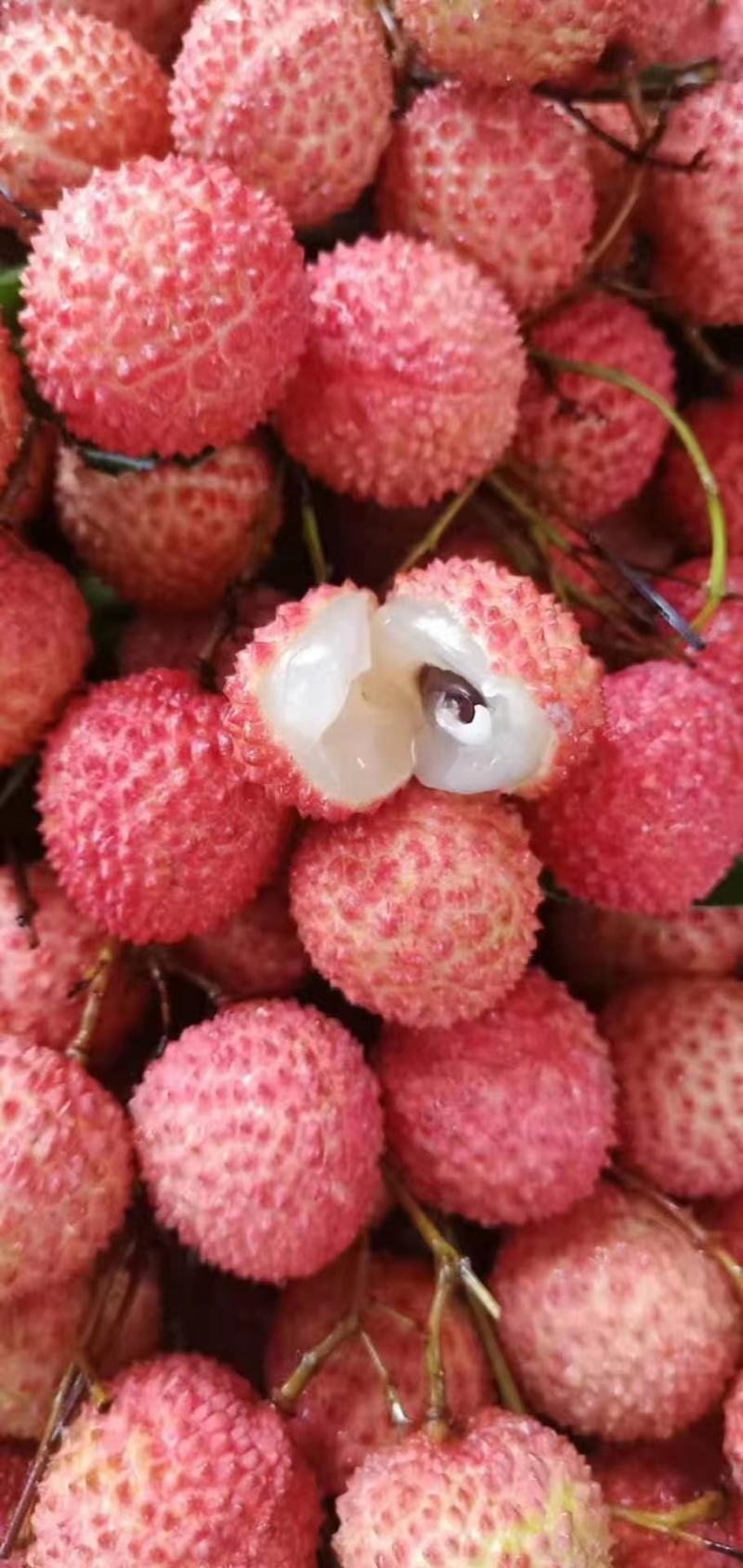 荔枝桂味