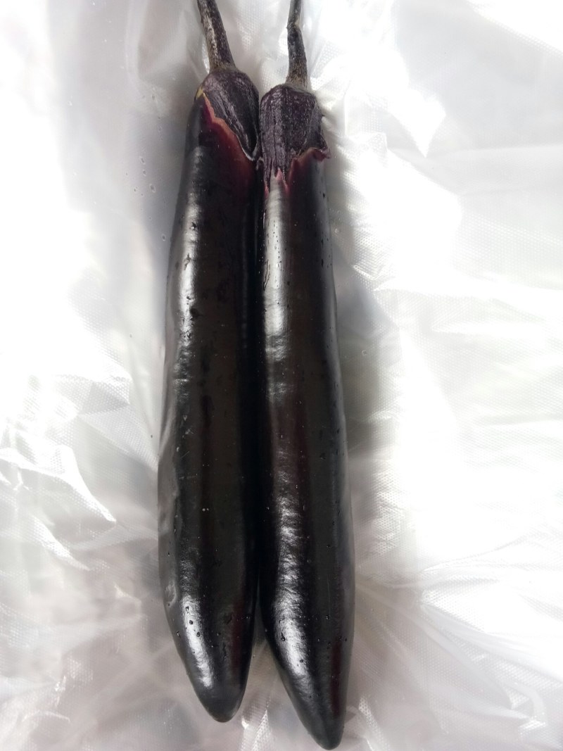 茄子（新鮮黑茄子现货）