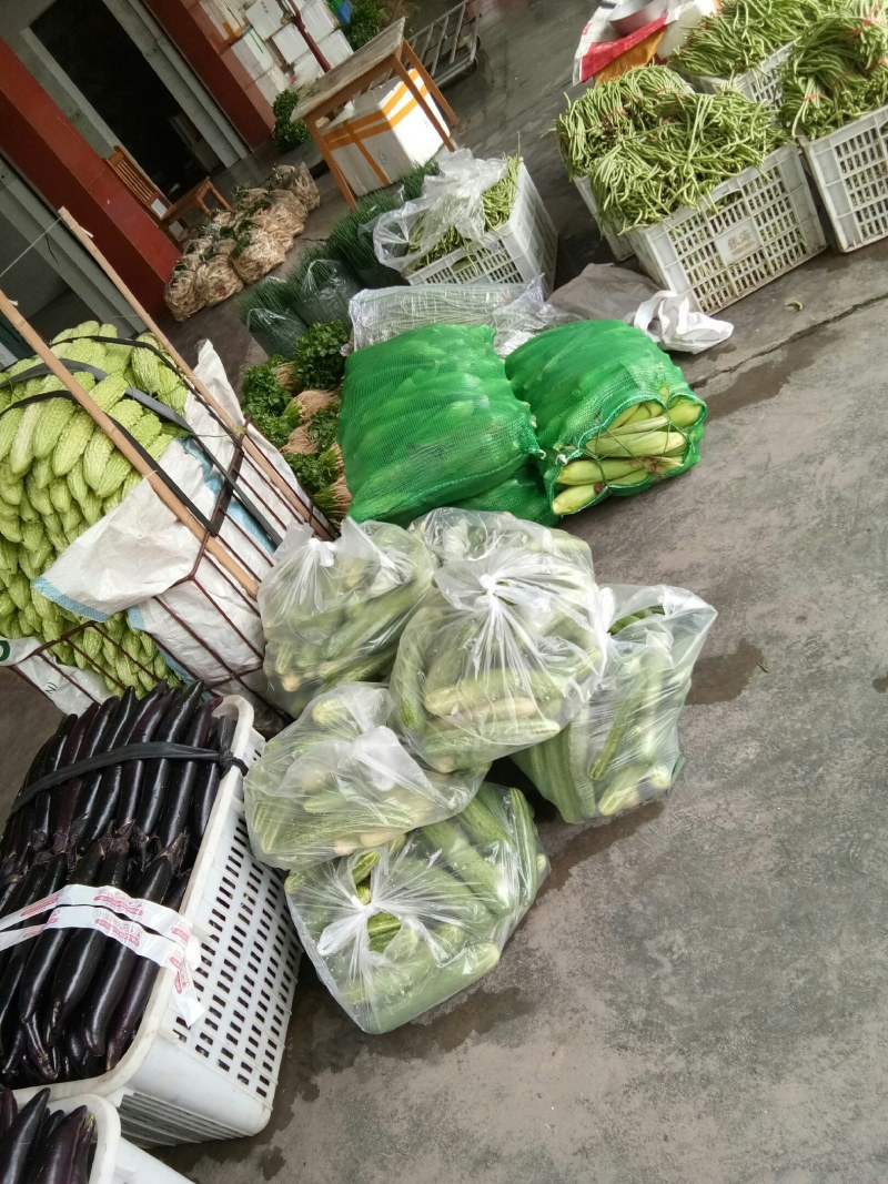 茄子（新鮮黑茄子现货）