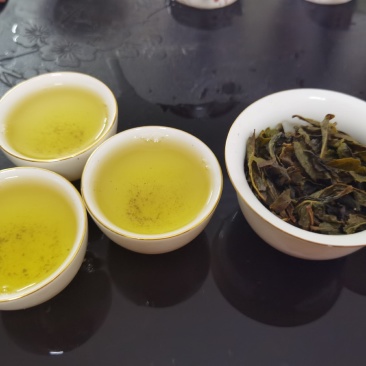 手工高山茶