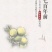 江门新会老陈皮礼盒装自然干仓药材用陈皮春节不打烊
