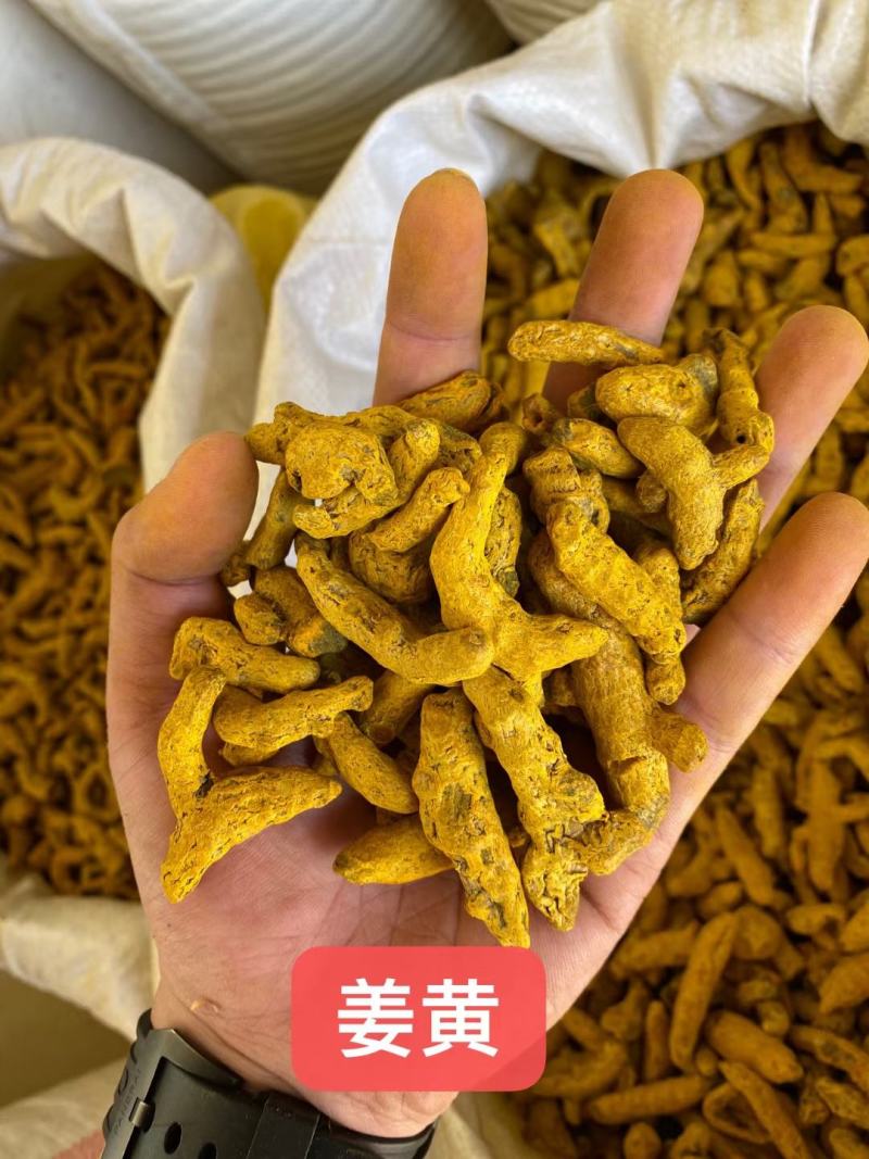 姜黄(包邮)，3斤起批发，零售量大从优
