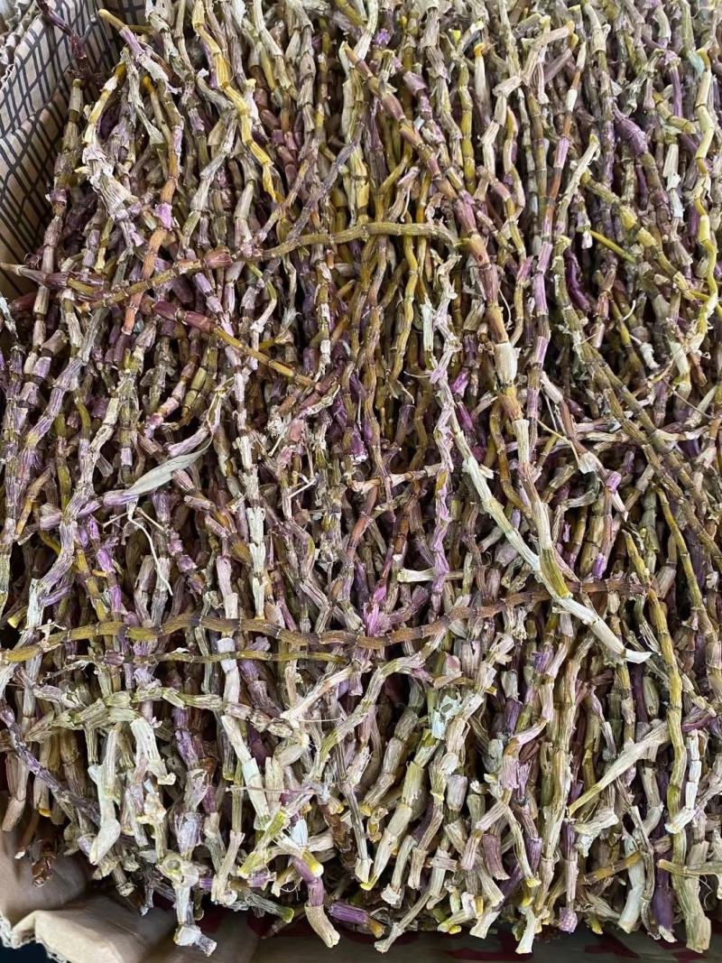 铁皮石斛(包邮)，3斤起批发，零售量大从优