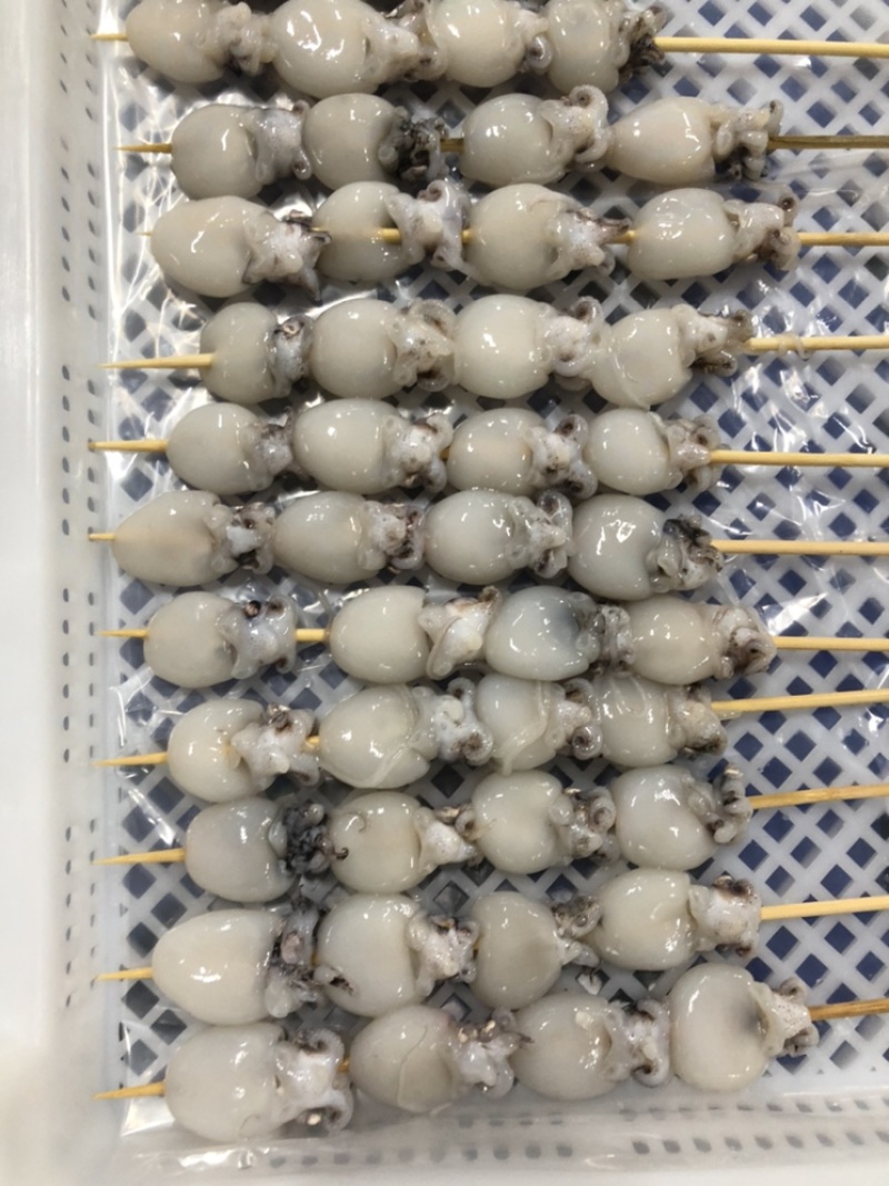 勿丁串/墨丁串/墨鱼仔串，一手货源，全国发货