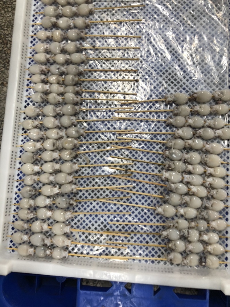勿丁串/墨丁串/墨鱼仔串，一手货源，全国发货