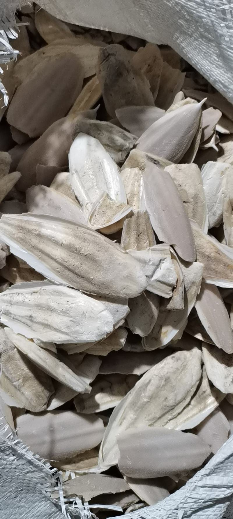 海螵蛸(包邮)，3斤起批发，零售量大优