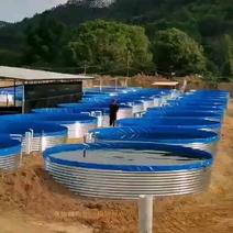 户外养殖场镀锌板帆布鱼池，方形帆布水箱水池尺寸定做。