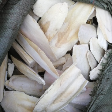 海螵蛸(包邮)，3斤起批发，零售量大从优