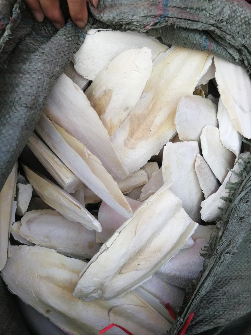 海螵蛸(包邮)，3斤起批发，零售量大从优