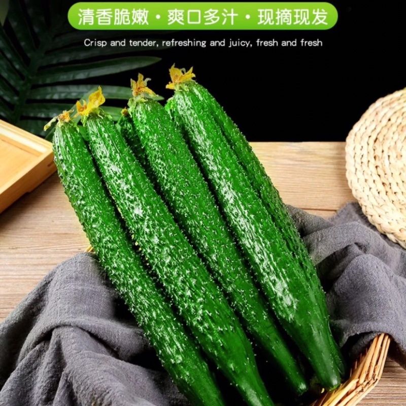 黄瓜