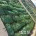 护坡绿化生态袋草籽长丝短丝生态袋植生袋护坡绿植袋