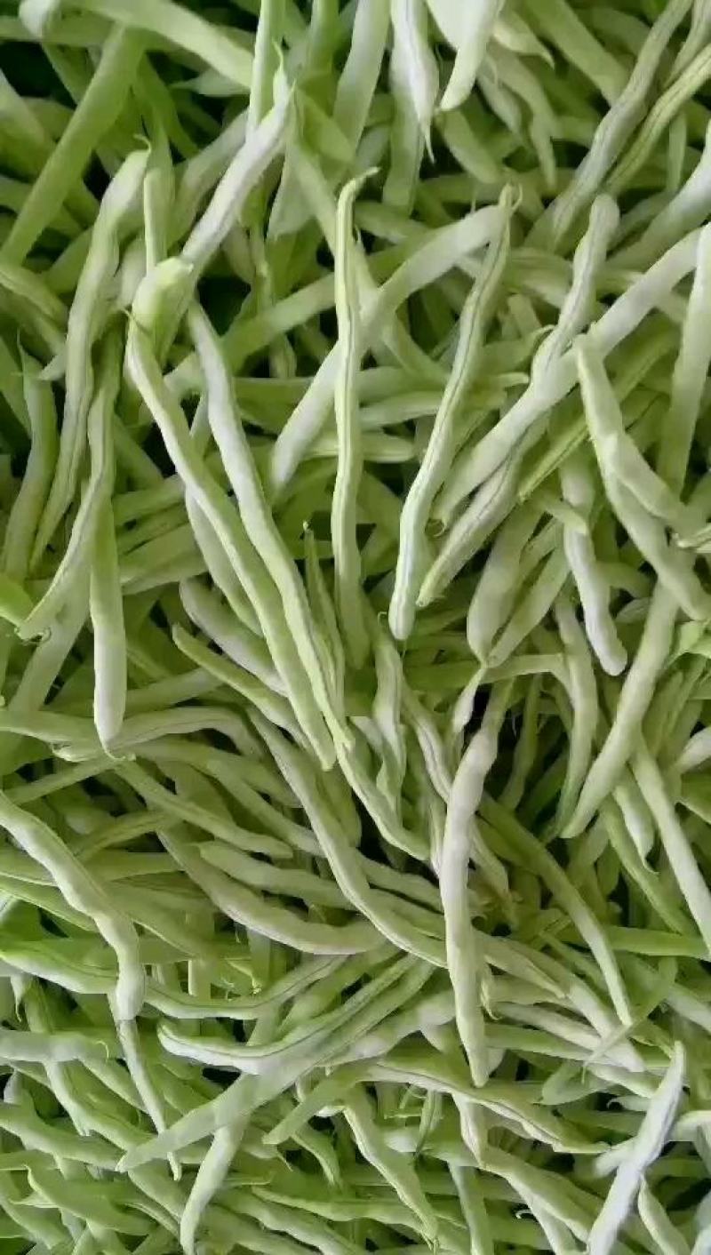 白豆角，白不老，白芸豆大量上市