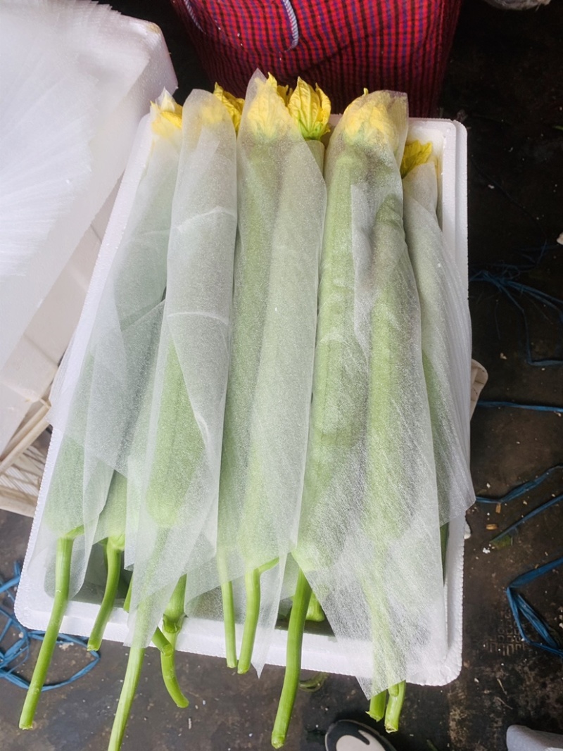 丝瓜大量新鲜丝瓜上市价格低质量好