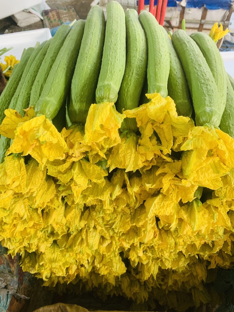 丝瓜大量新鲜丝瓜上市价格低质量好