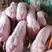 原种太湖母猪苏太母猪杜洛克长白约克二元等三十斤活体全国包