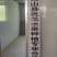 露天油桃精品油桃大量供应商超社区团购电商