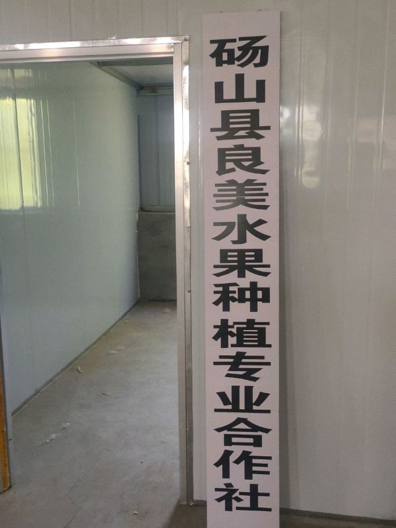 露天油桃精品油桃大量供应商超社区团购电商