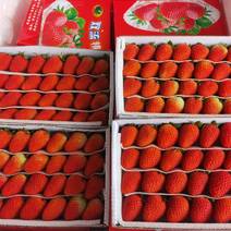 嘉兴水果市场云南双流盒草莓烘培果茶直供