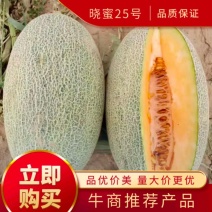 【精品哈密瓜】河南夏邑精品哈密瓜，小蜜25，大量现货供应