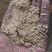 供应湖北新鲜大米油糠米糠谷糠养殖饲料原料高油脂无掺假