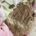 供应湖北新鲜大米油糠米糠谷糠养殖饲料原料高油脂无掺假