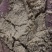 供应湖北新鲜大米油糠米糠谷糠养殖饲料原料高油脂无掺假